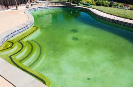 green pool